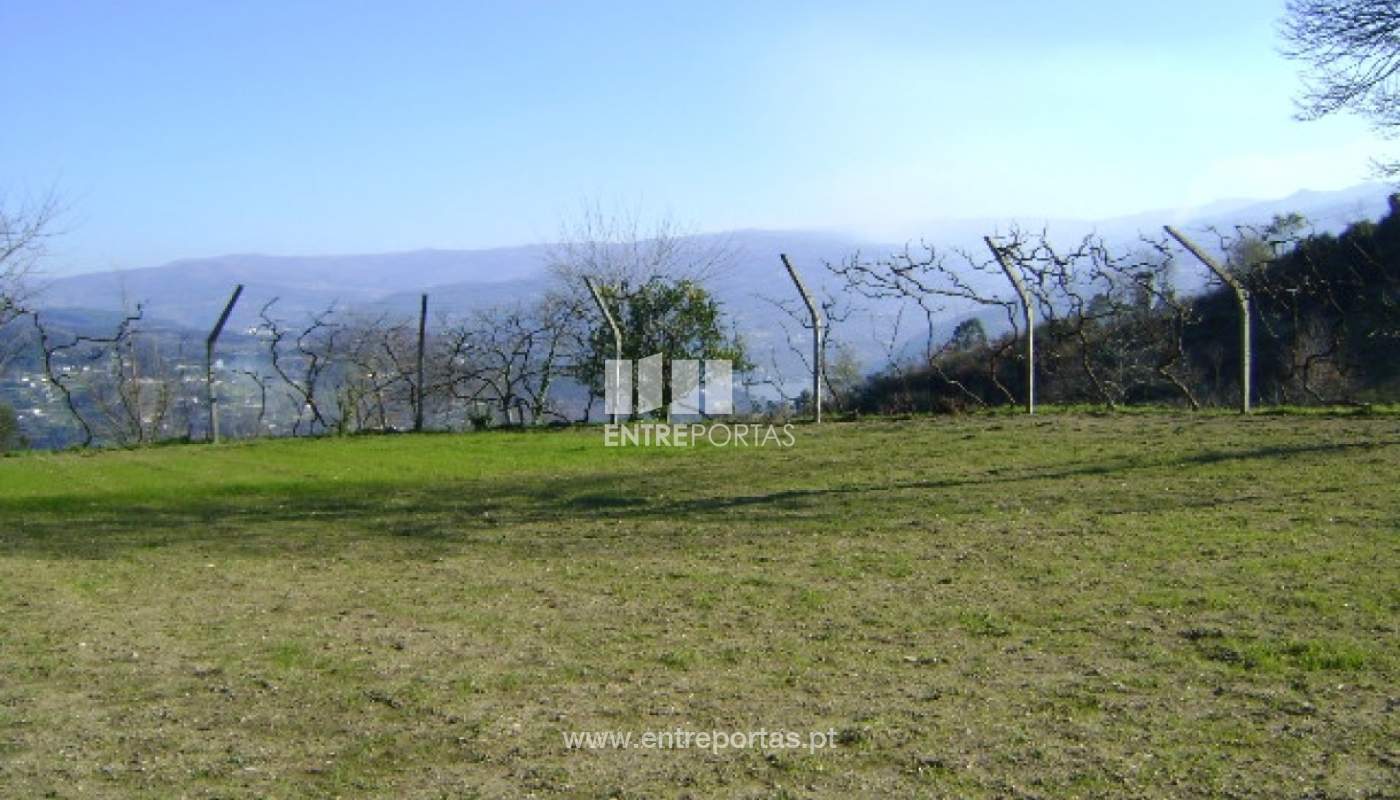 27jpg