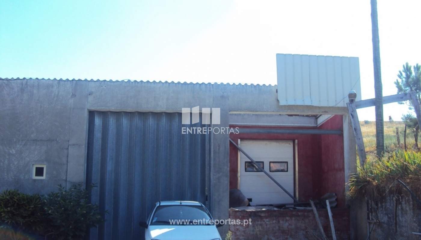 Venda Armazém, Oliveira do Douro, Cinfães