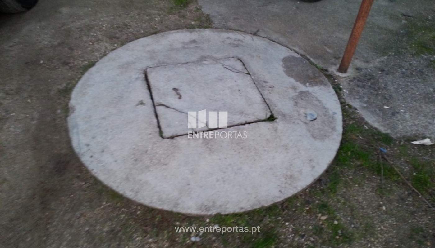 2254929-7005jpg