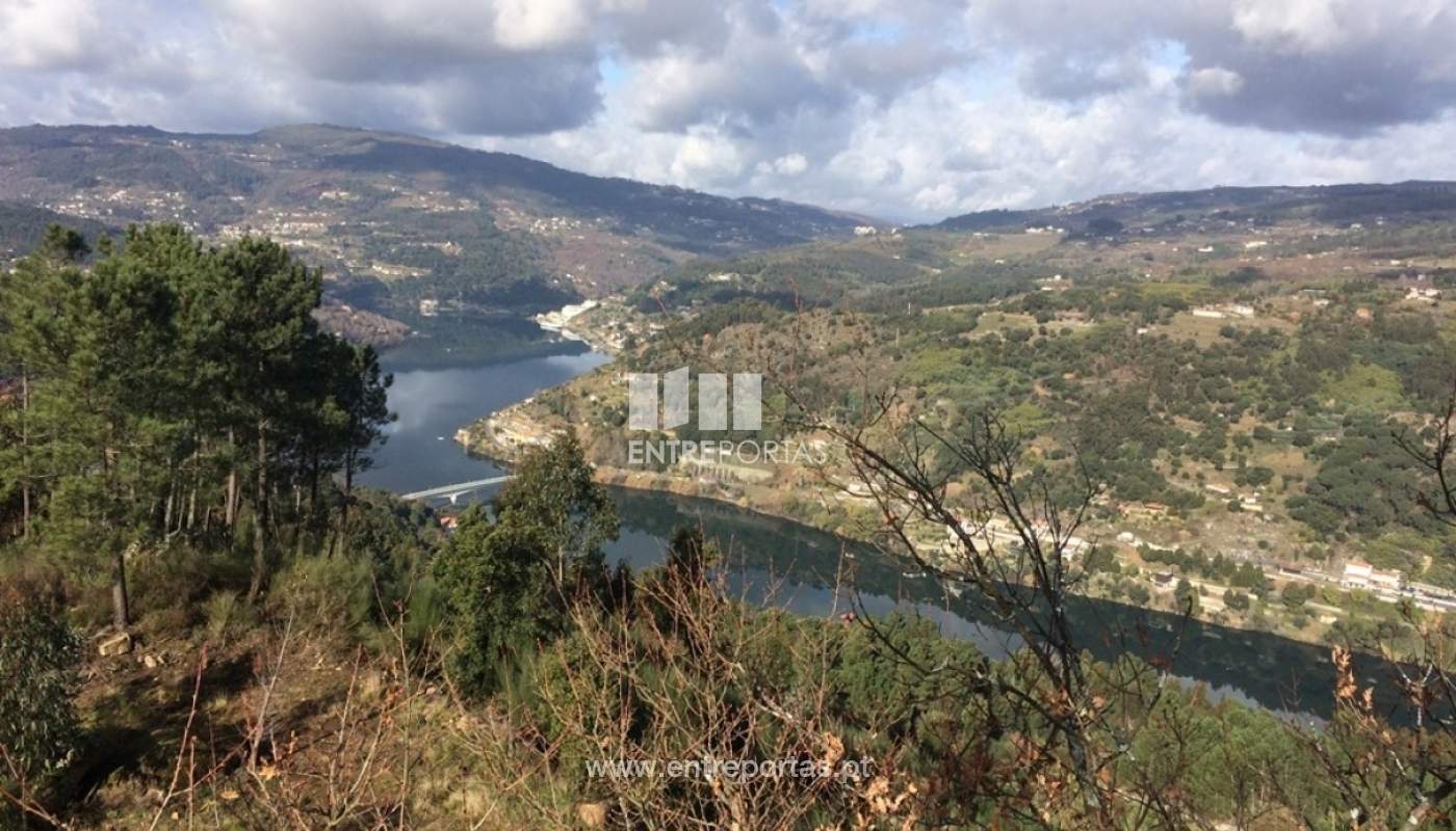 Venda Terreno, Oliveira do Douro, Cinfães