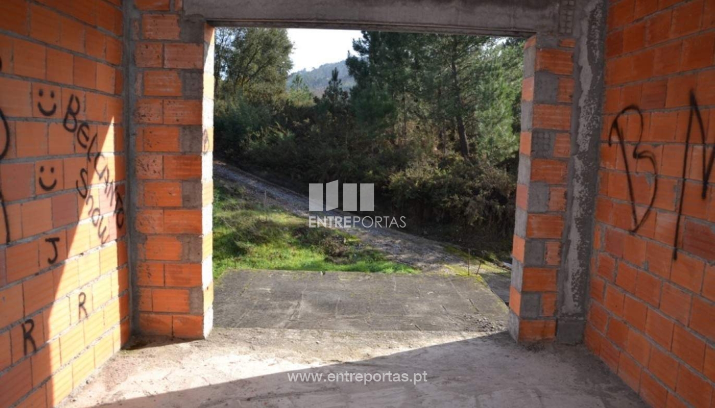 2265763-7795jpg