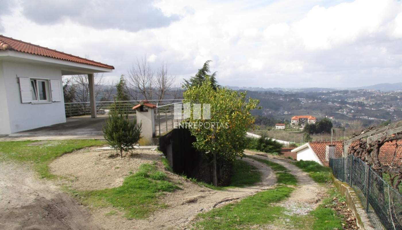 2267405-7895jpg
