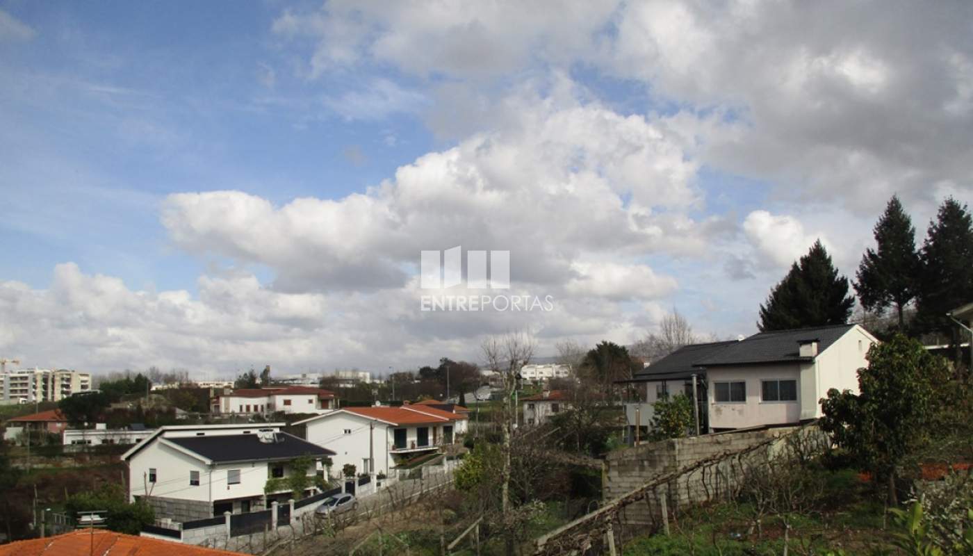 2267407-7895jpg