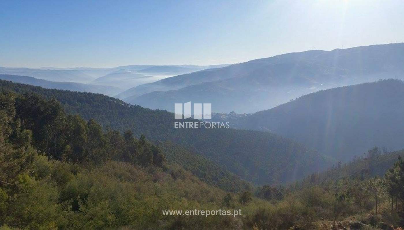 23667403-1691803994184596-1365836852-njpg