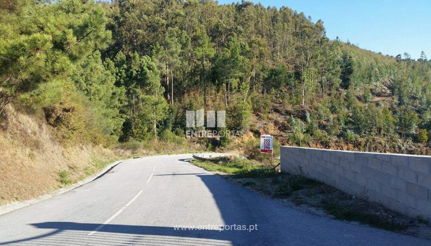 23667479-1691804000851262-1105168513-njpg