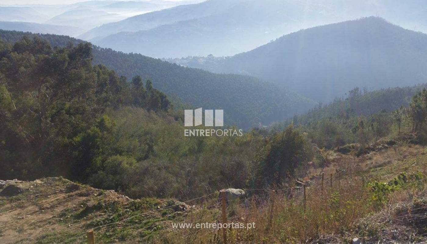 23667335-1691803870851275-854967051-njpg