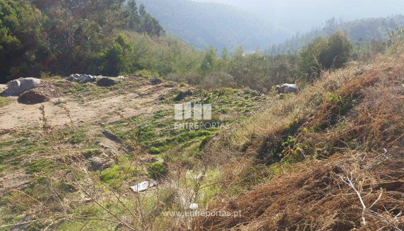 23718289-1691803927517936-2010984401-njpg