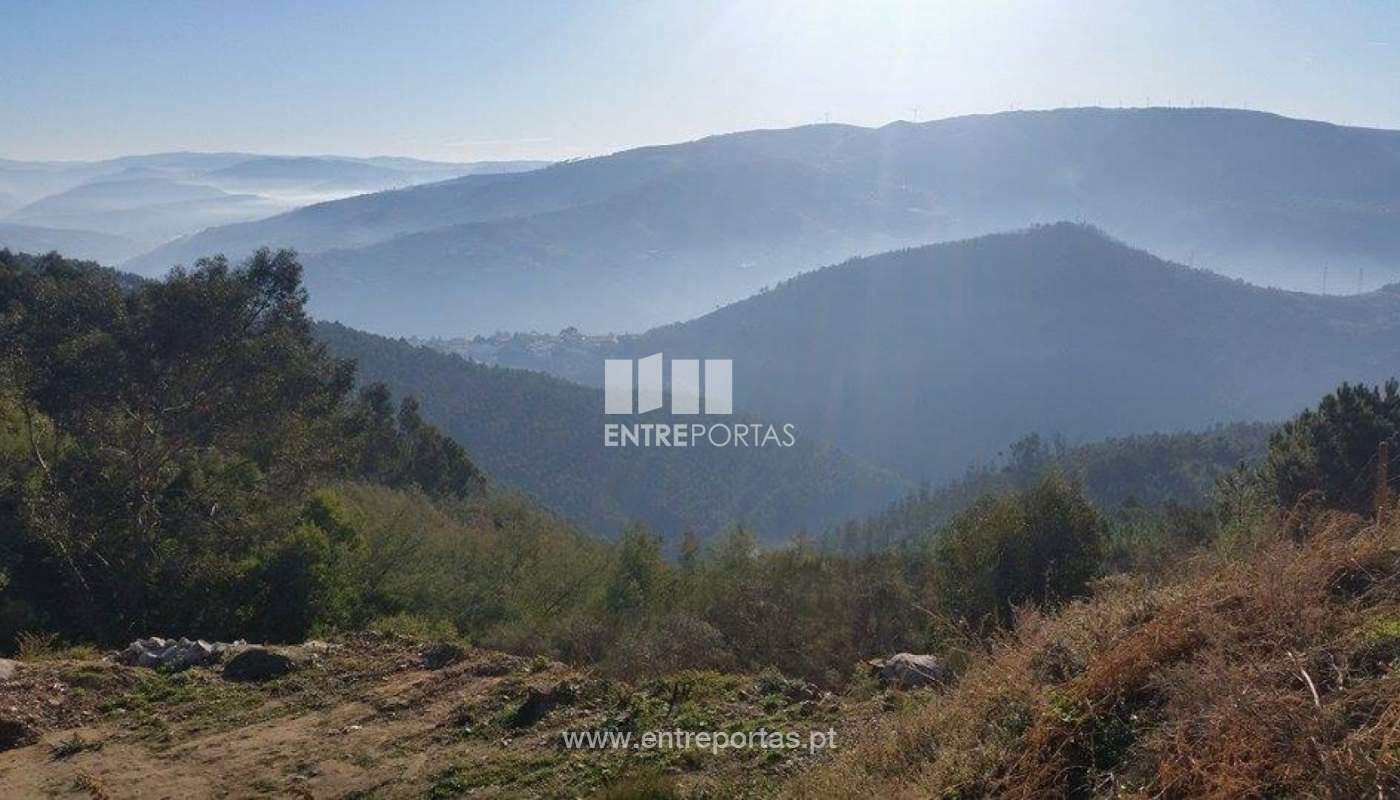 23718106-1691803874184608-1910823555-njpg