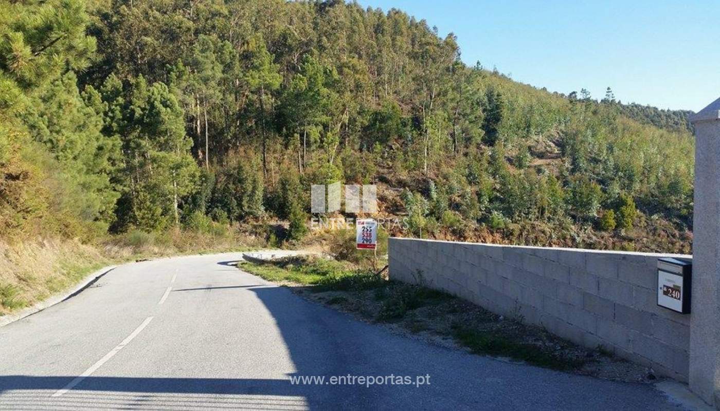 23718494-1691803970851265-1573452636-njpg