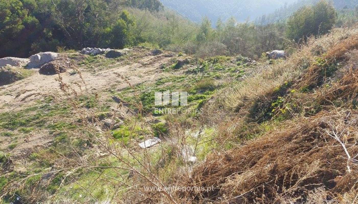 23721814-1691803924184603-214943798-njpg