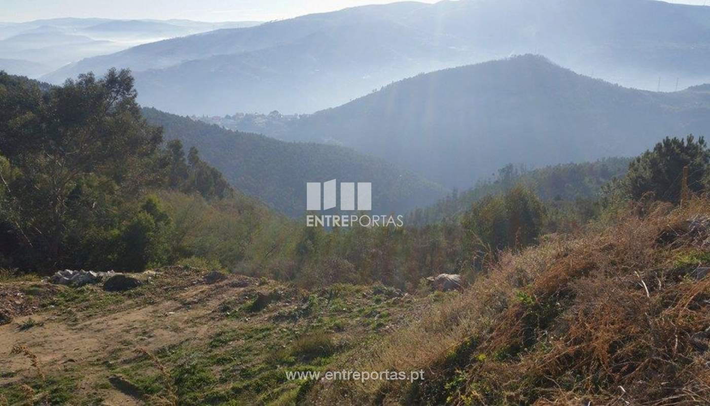 23721858-1691803887517940-1465753949-njpg