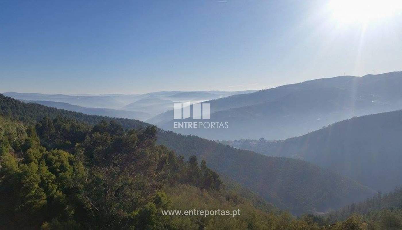 23772027-1691803850851277-1619229848-njpg