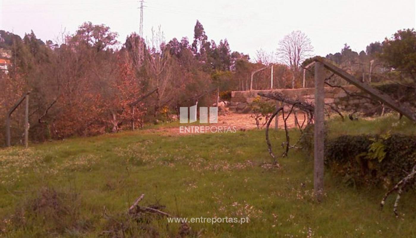 072jpg