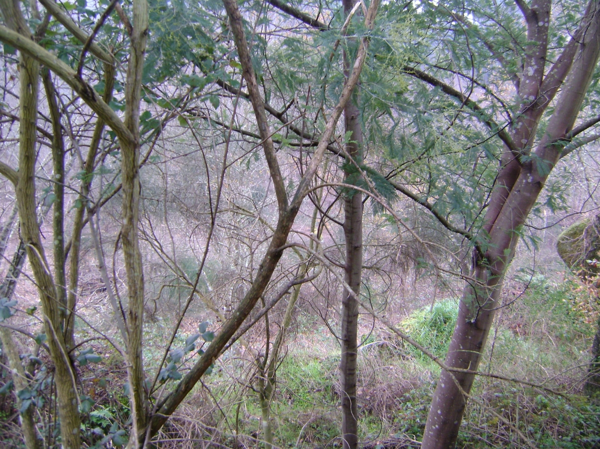 dsc07042jpg