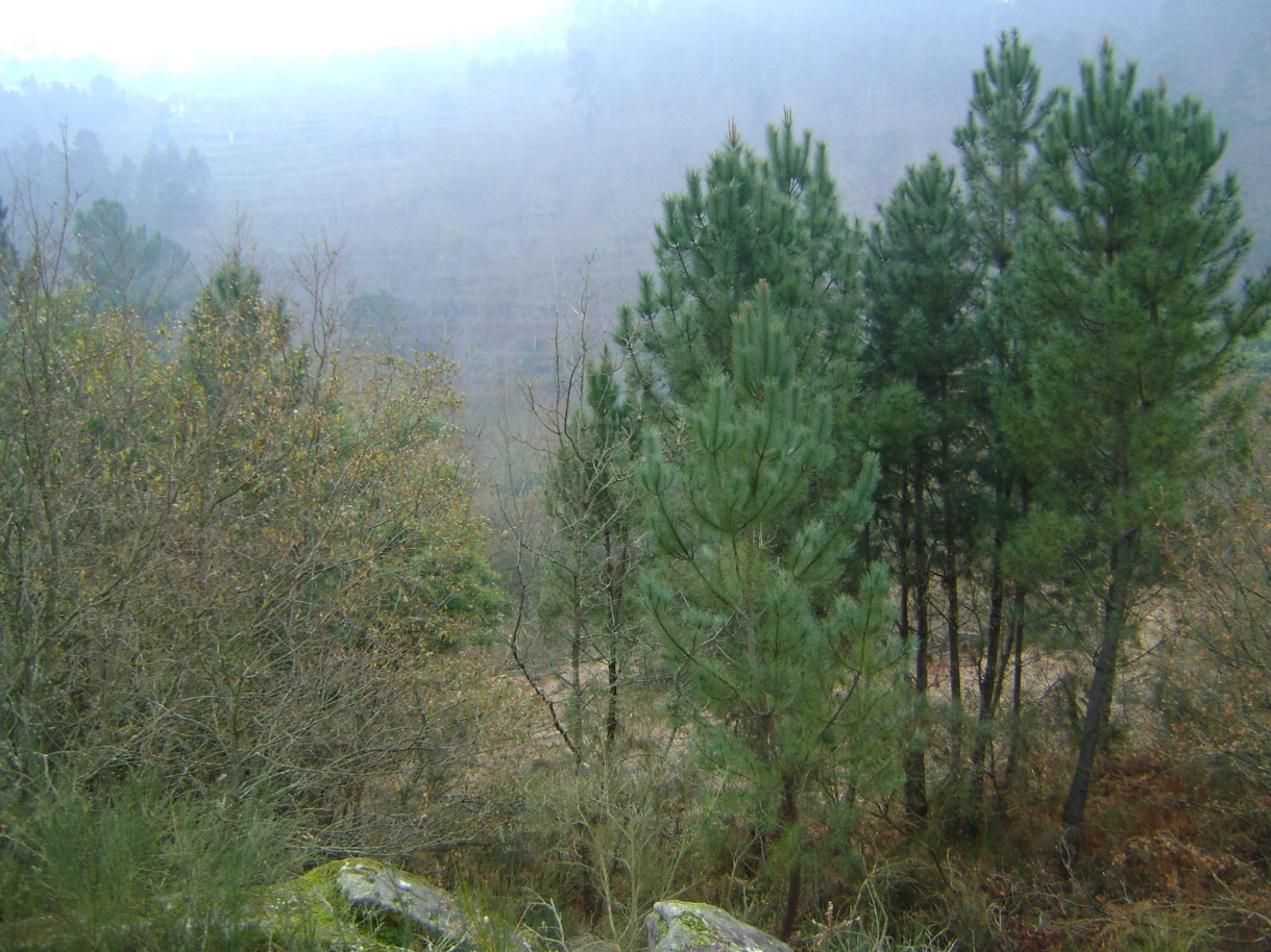 dsc07046jpg