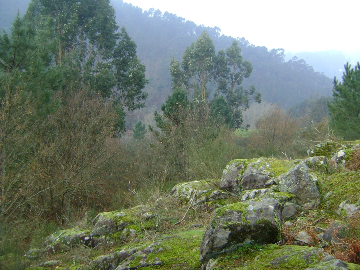 dsc07047-2jpg