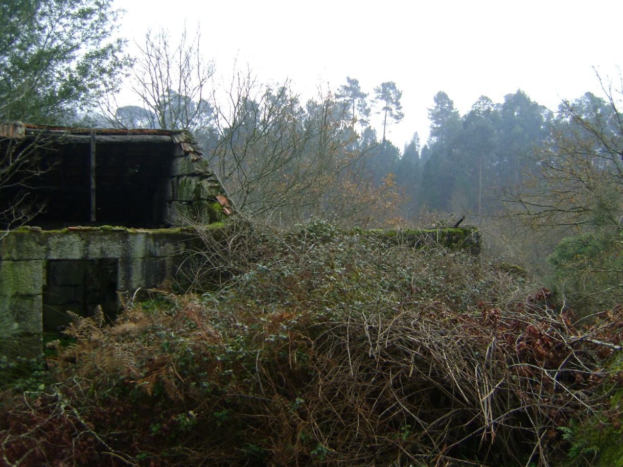 dsc07050-2jpg