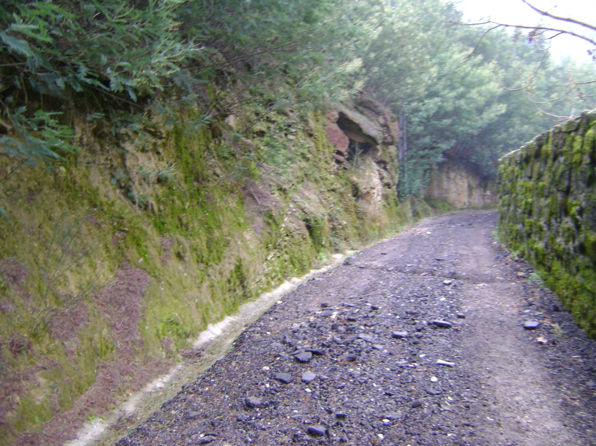 dsc07061jpg