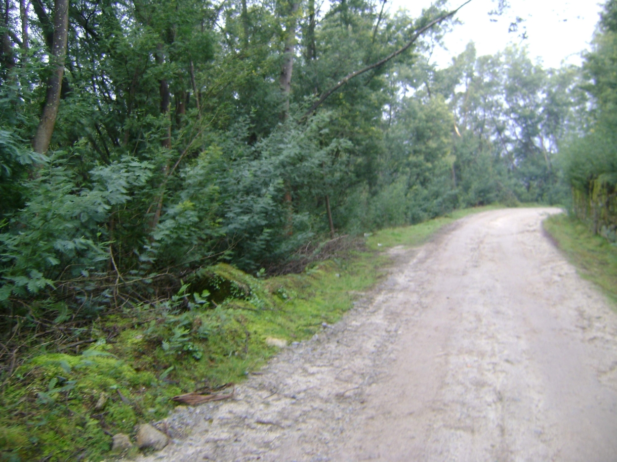 dsc07052jpg