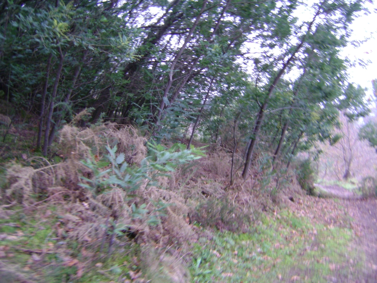 dsc07072jpg