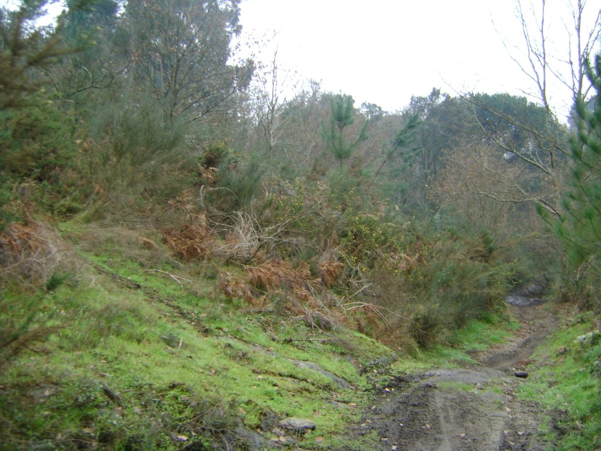 dsc07073jpg