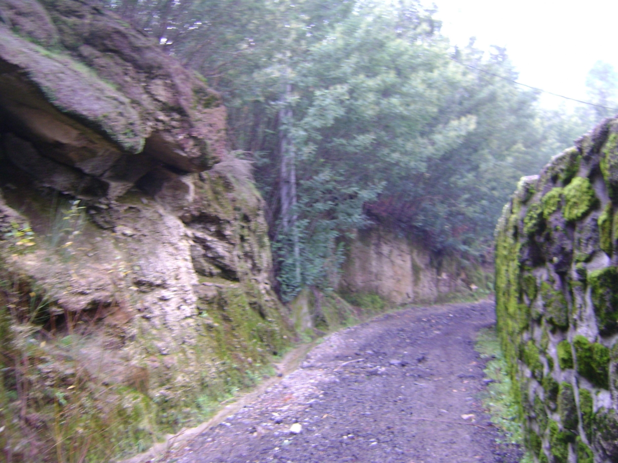 dsc07062jpg