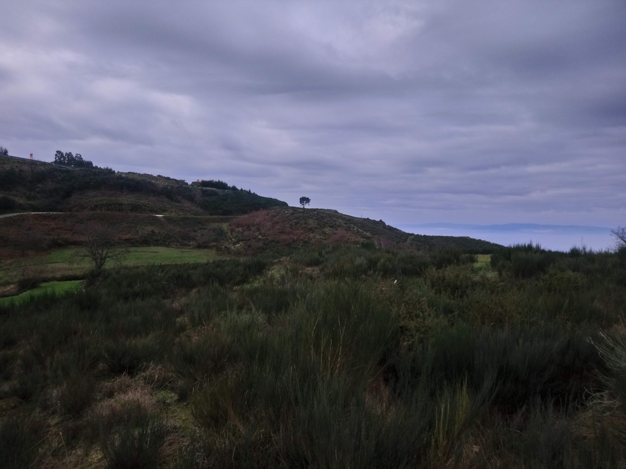 dsc-2662jpg