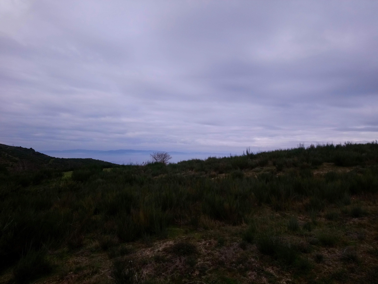 dsc-2665jpg