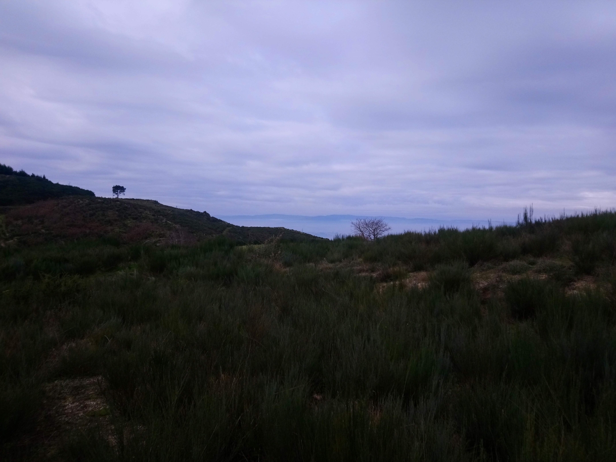 dsc-2666jpg