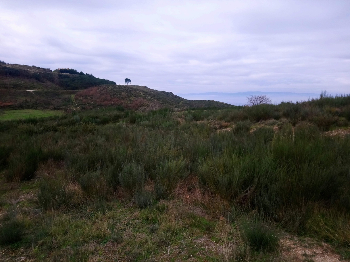 dsc-2670jpg