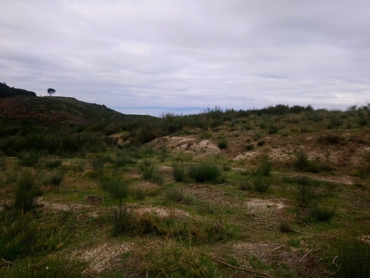 dsc-2677jpg