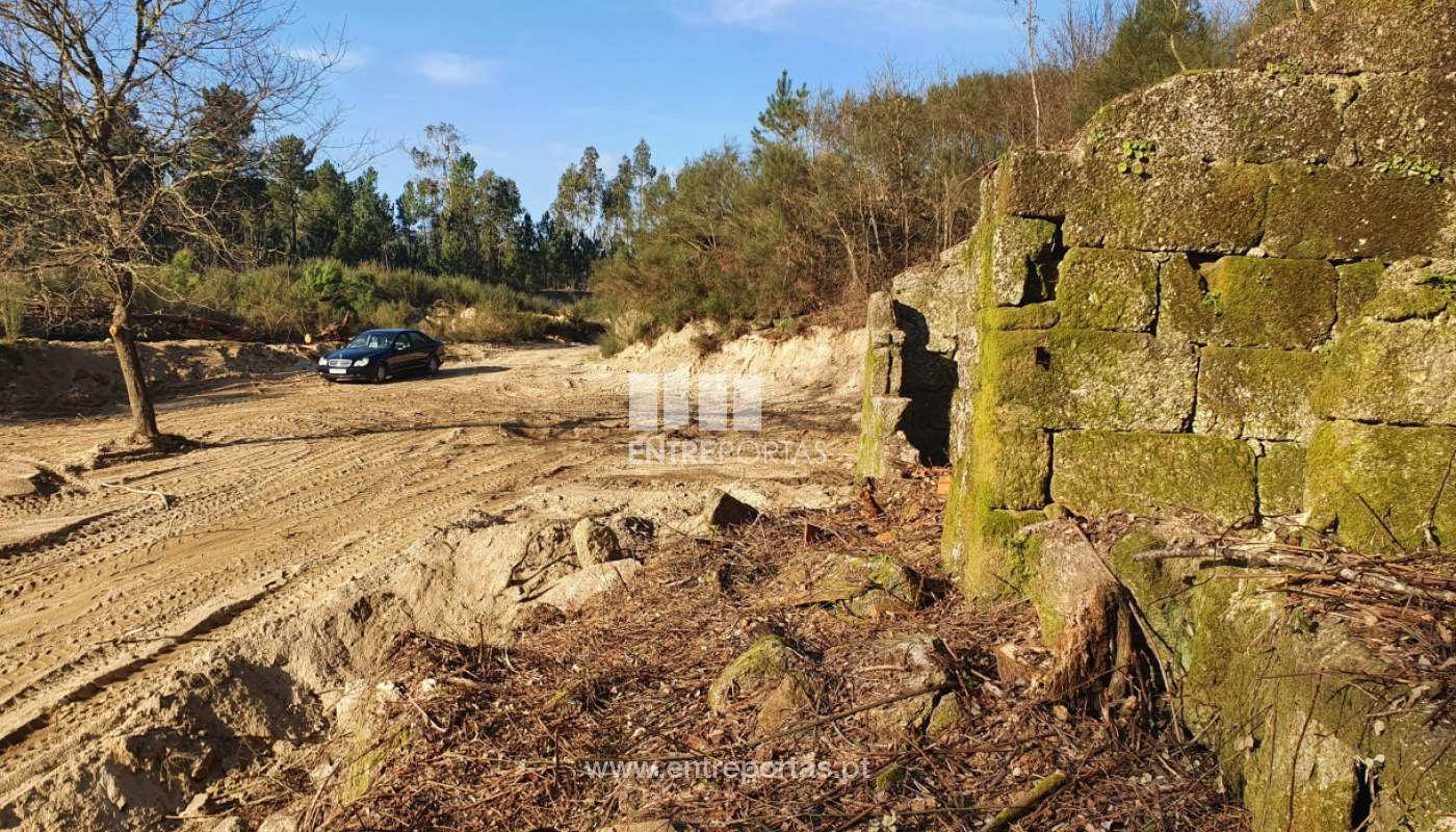 Venda Terreno, Várzea de Ovelha e Aliviada, Marco de Canaveses