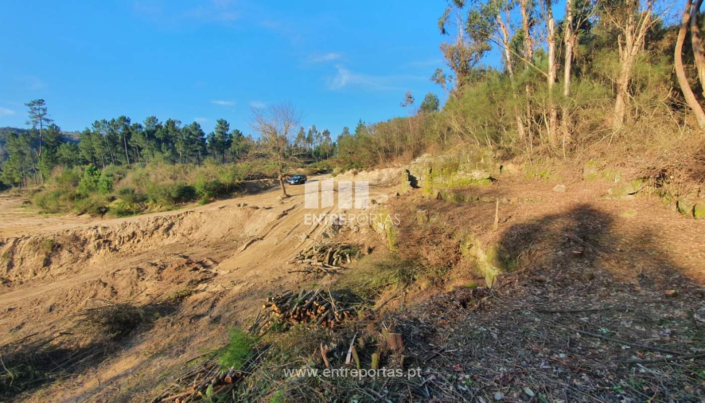 Venda Terreno, Várzea de Ovelha e Aliviada, Marco de Canaveses