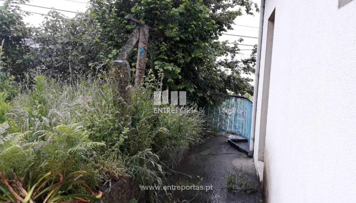 34706089-2036021583324473-3516443283200933888-njpg