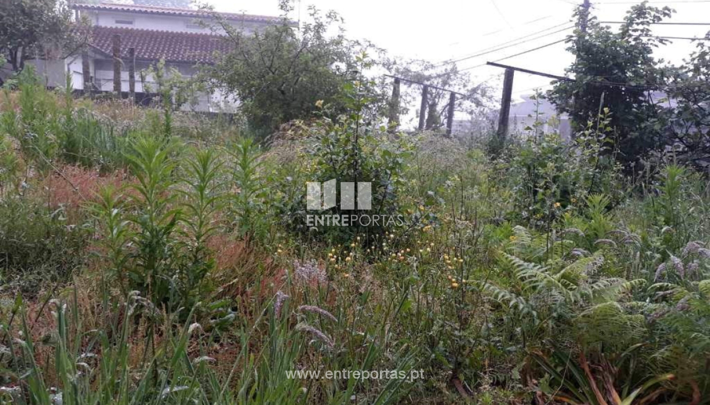 34748211-2036021549991143-5627701364550270976-njpg