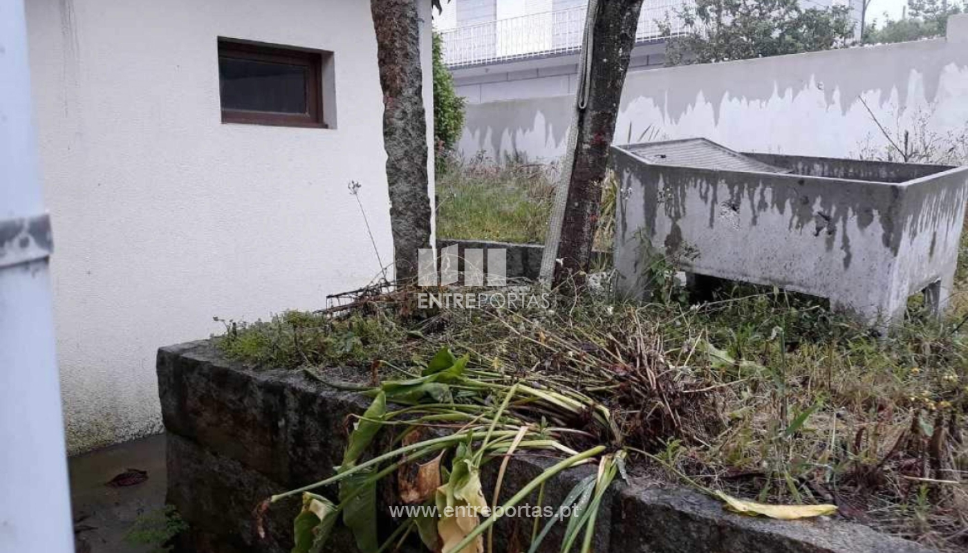 34818907-2036021006657864-1075239676664610816-njpg