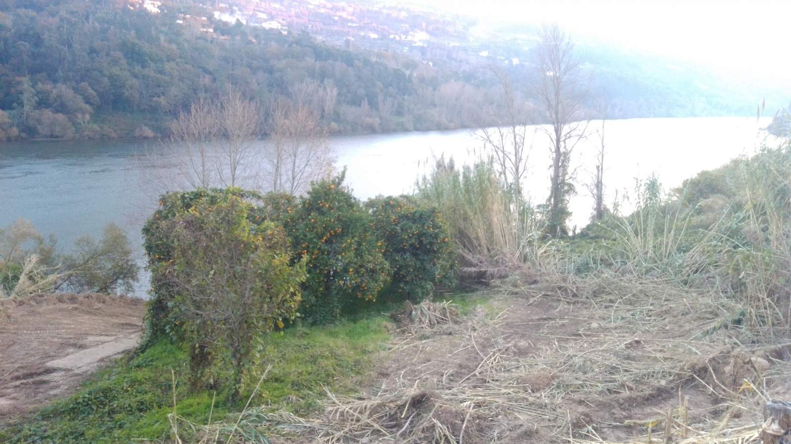 img-20201202-165325jpg