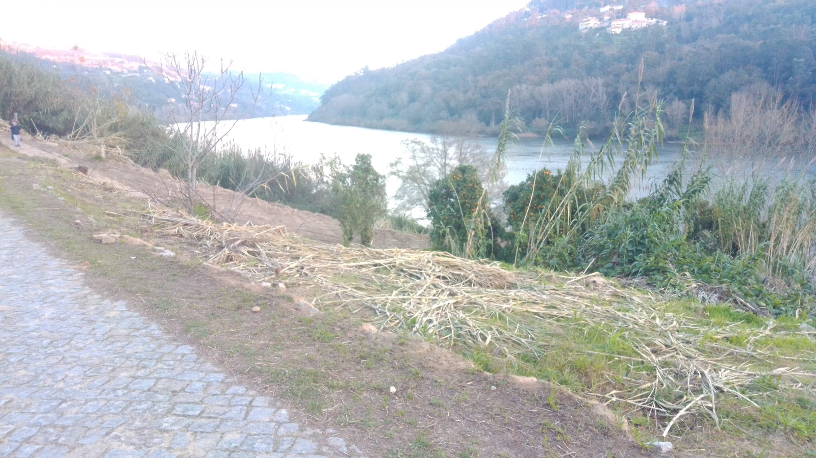 img-20201202-165443jpg