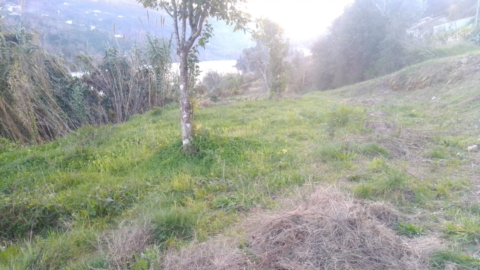 img-20201202-165518jpg