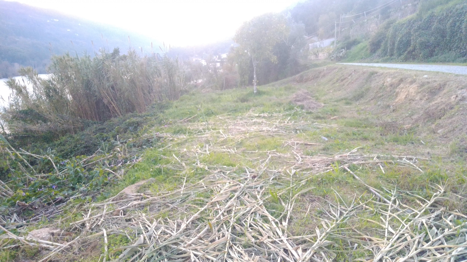 img-20201202-165459jpg