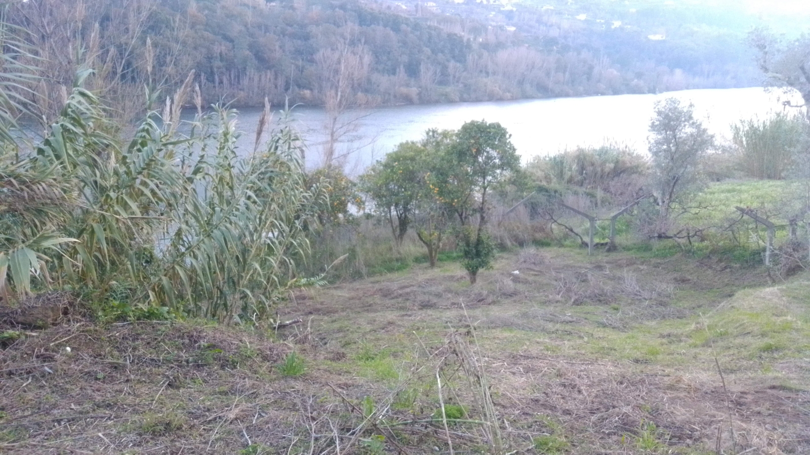 img-20201202-165537jpg