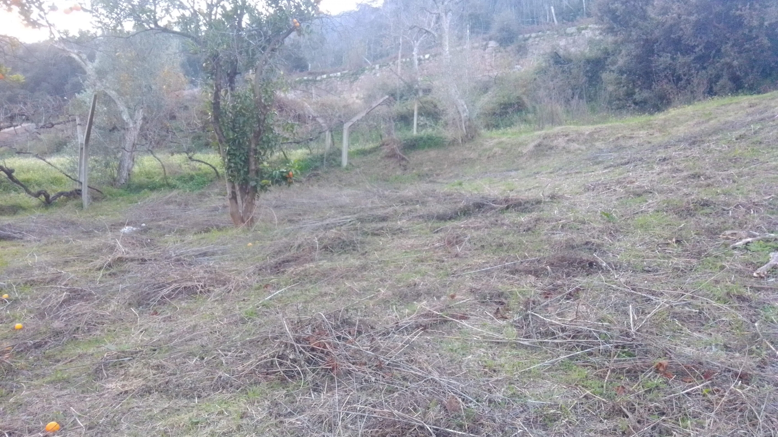 img-20201202-165614-copia-2jpg