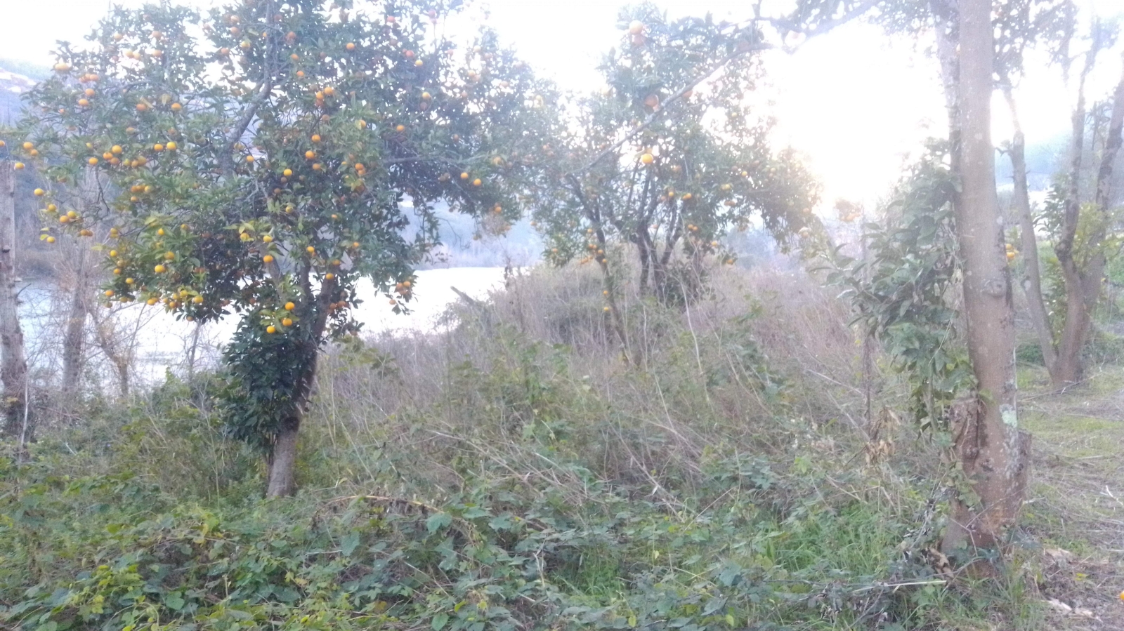 img-20201202-165628jpg