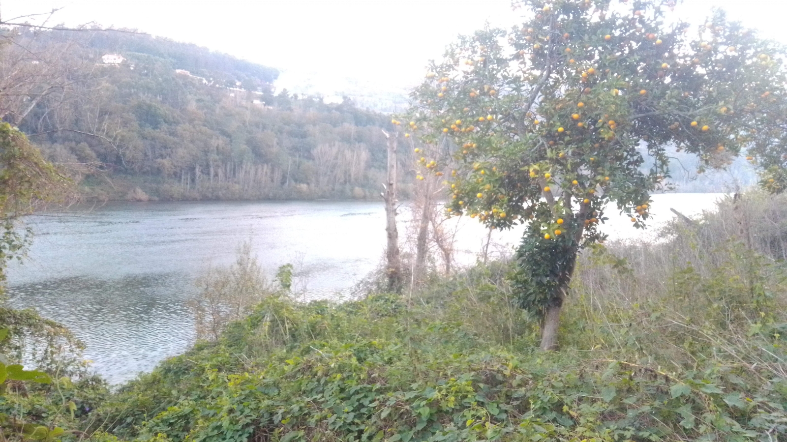img-20201202-165631jpg