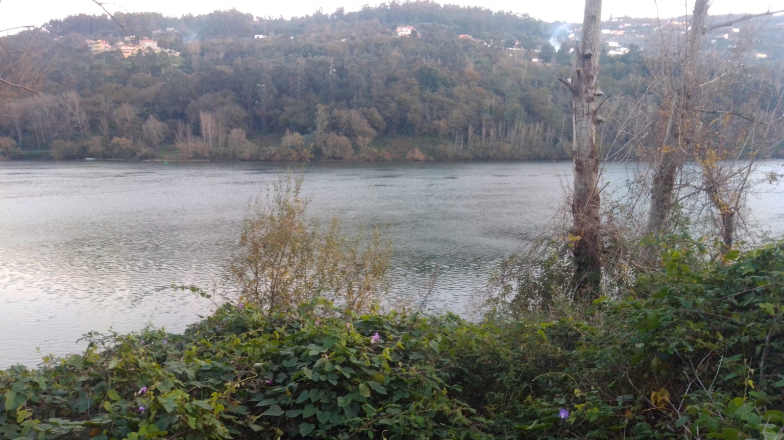 img-20201202-165707jpg