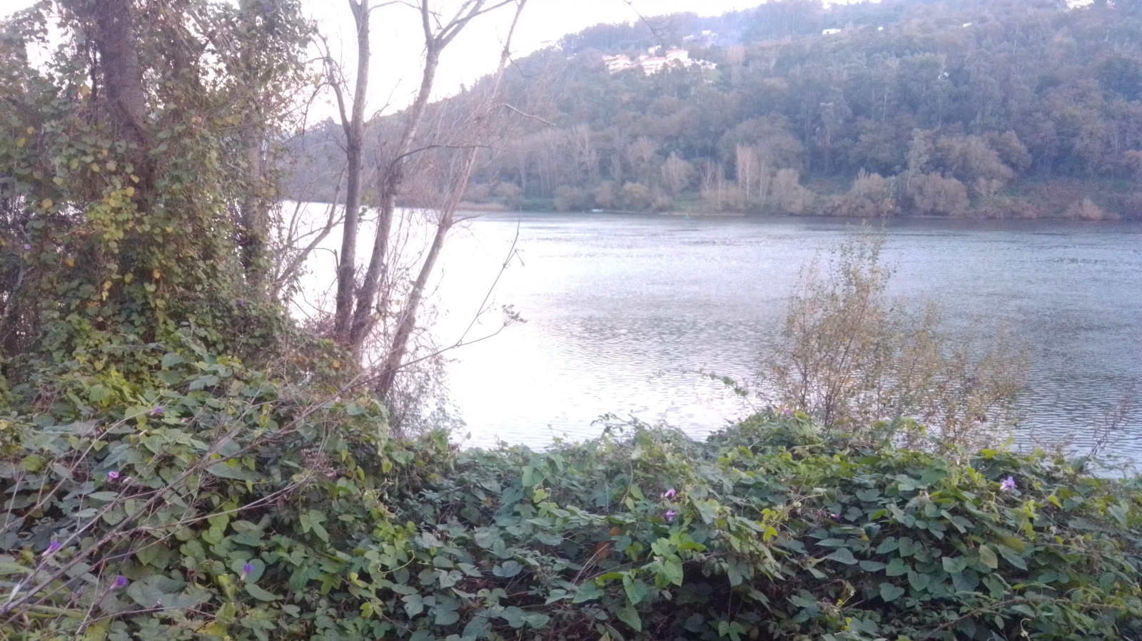 img-20201202-165724jpg