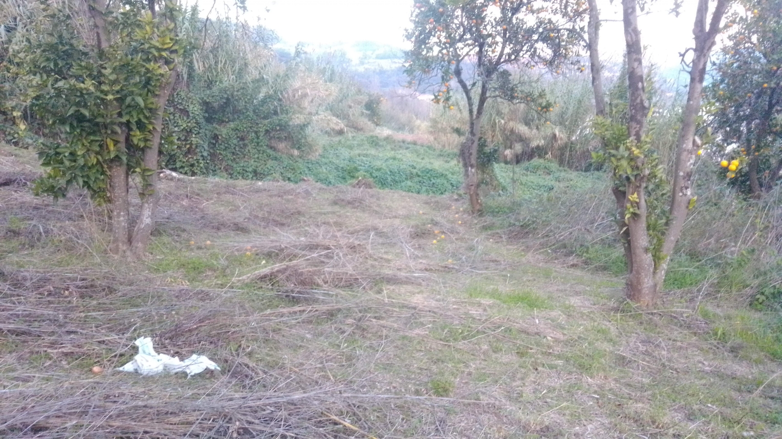 img-20201202-165756jpg