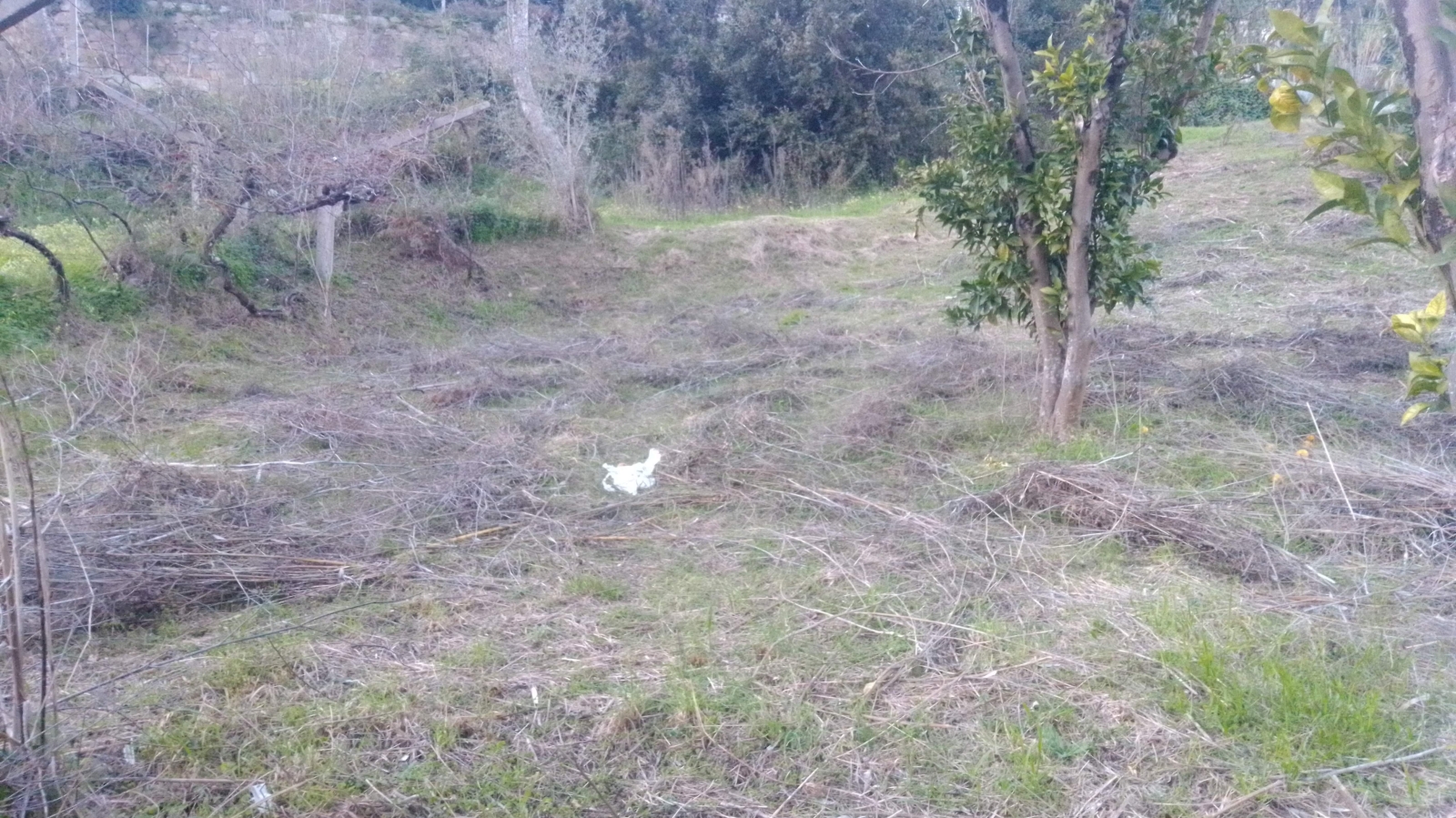 img-20201202-165745jpg