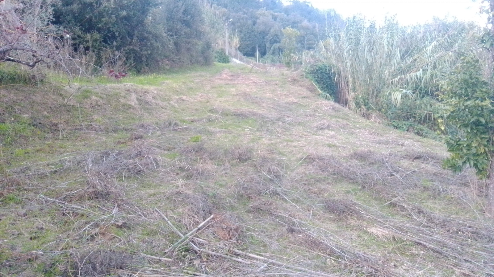 img-20201202-165803jpg