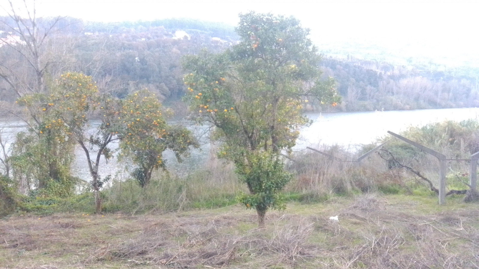img-20201202-165830jpg